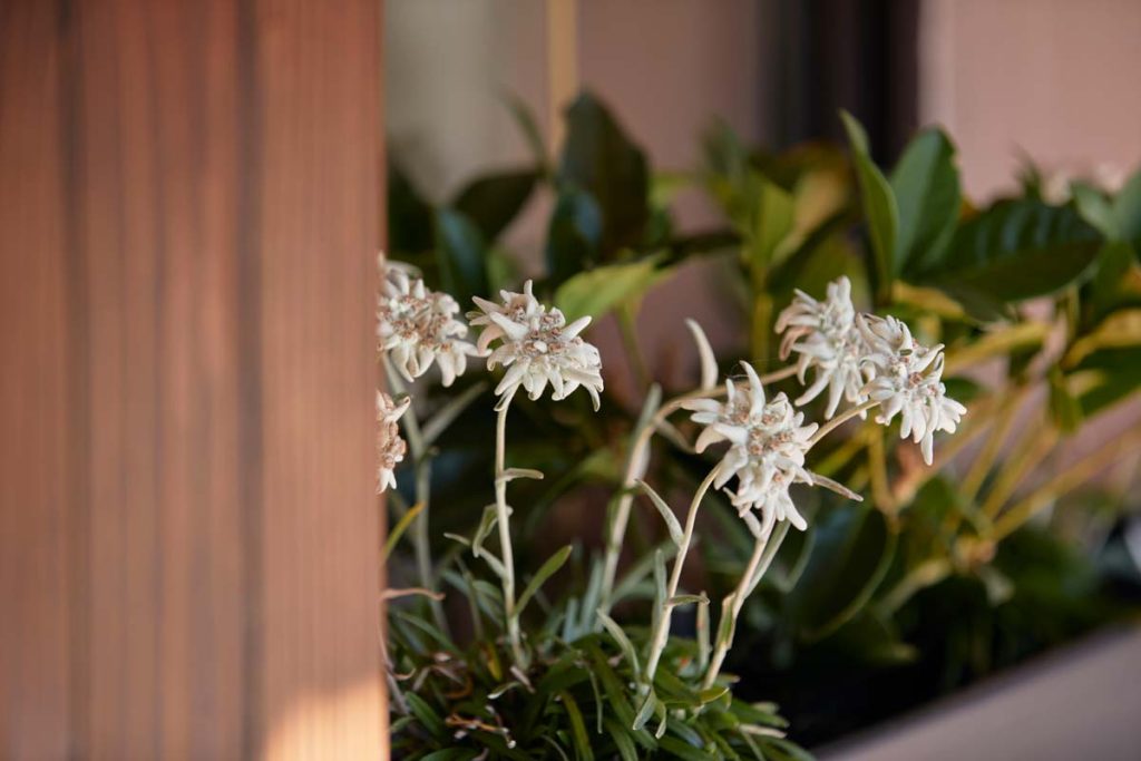 garni dello sportivo estate 04